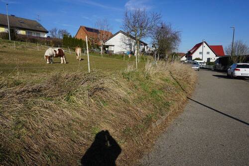 Bild 1 - Baugrundstück in sonnenverwöhnter Südhanglage