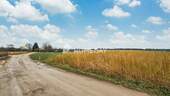 Umgebung 1 - 
