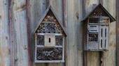 Bienenhäuschen - fördern die Artenvielfalt im Garten - 