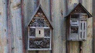 Bienenhäuschen - fördern die Artenvielfalt im Garten - 