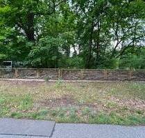 Baugrundstück für EFH fußläufig dem Lehnitzsee - Oranienburg