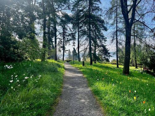 ...in den Parkanlagen... - 