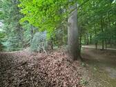 Park - 
