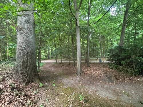 Park - 