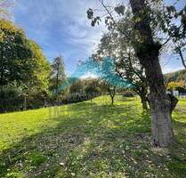 Baugrundstück für 6 Doppelhaushälften mit zwei Vollgeschossen! - Bad Sooden-Allendorf Oberrieden