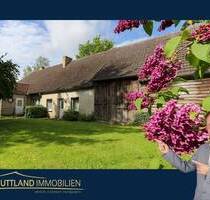 Einfamilienhaus mit 2 Scheunen & großem Grundstück in Feldrandlage - Groß Kordshagen / Flemendorf