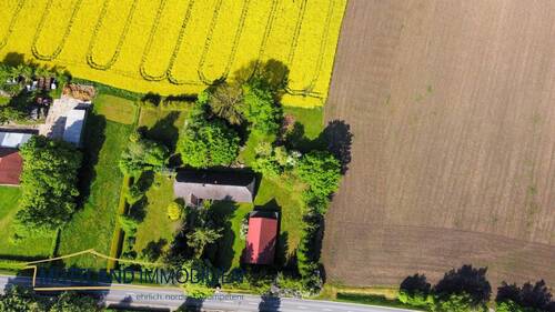 Luftaufnahme in Rapsblüte - 5 Zimmer Einfamilienhaus zum Kaufen in Groß Kordshagen / Flemendorf
