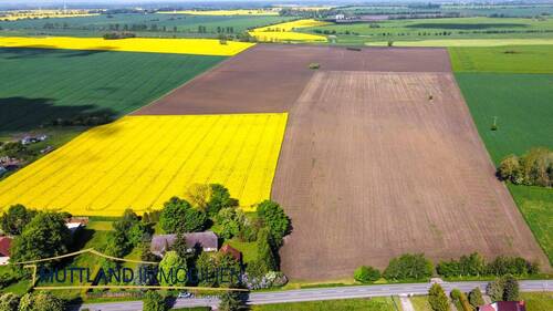 Luftaufnahme in Rapsblüte - 5 Zimmer Einfamilienhaus in Groß Kordshagen / Flemendorf