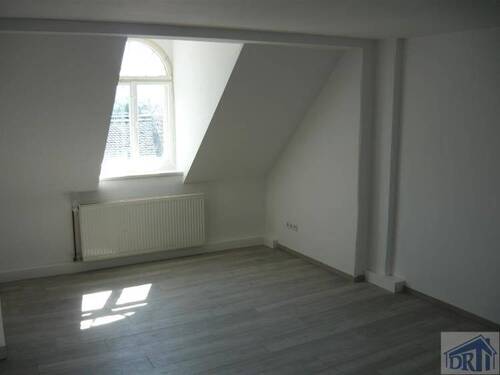 Zimmer DG - 
