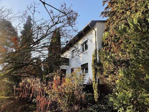 Schön eingewachsener Garten - 