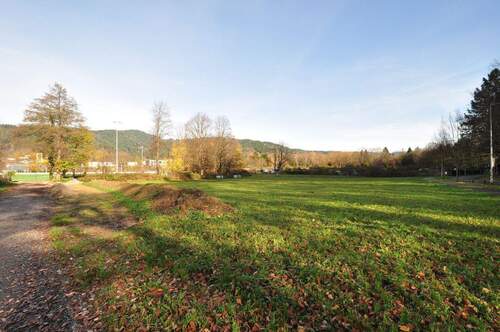 naturnahe Lage - Dreisamtal - 