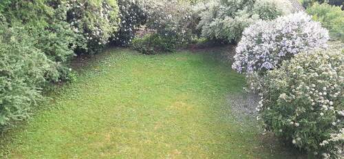 Garten - 