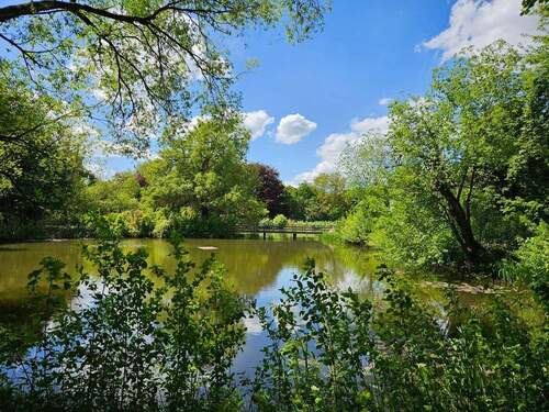 Blick vom GS auf Weiher_b - Grundstück in Haundorf