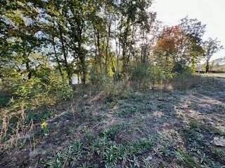 Baufeld - Grundstück zum Kaufen in Treuenbrietzen