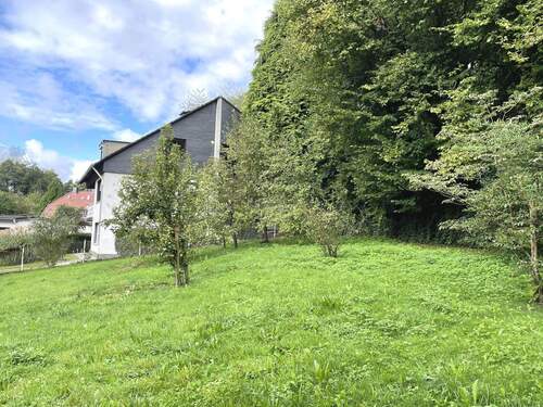 Garten (gepachtet) - 