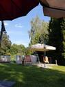 Pool im Garten - 