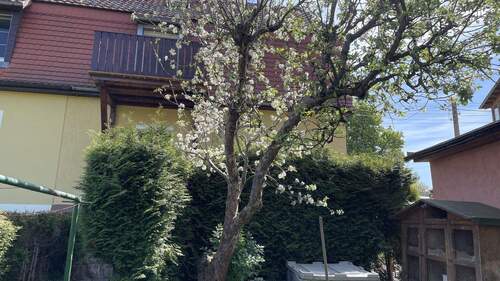 Ansicht - 4 Zimmer Doppelhaushälfte zum Kaufen in Neustadt