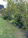 Garten 1 - 