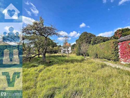 Grundstück zur Projektentwicklung - Grünwald: Grundstück mit Altbestand in begehrter Lage