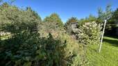 Großes Gartengrundstück - 