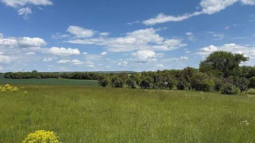 2025-05-26 13.02.30 - 