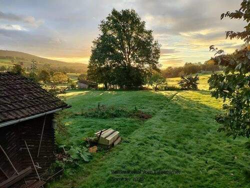 1c857843-7c67-499b-b194-791b17bf36b9.JPG - Mehrfamilienhaus, Wohnhaus mit 225,00 m&sup2; in Uslar zum Kaufen