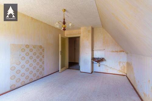 Zimmer DG - 