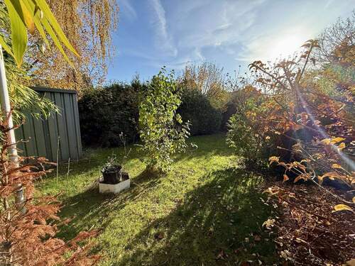 Platz für den grünen Daumen - 