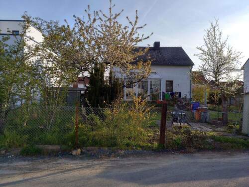 Haus Südseite mit Kirschbaum - 