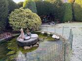 Gartenteich im Winter - 