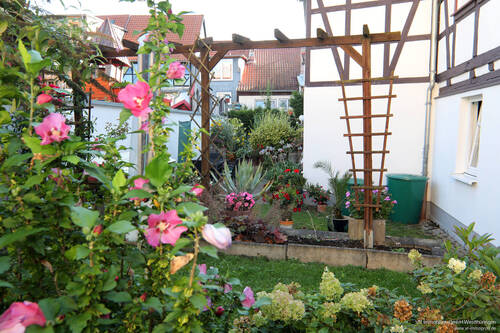 Garten - Mehrfamilienhaus, Wohnhaus mit 147,10 m² in Bad Langensalza zum Kaufen
