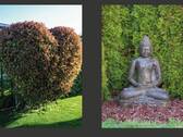 Wohlfühlambiente Garten - 