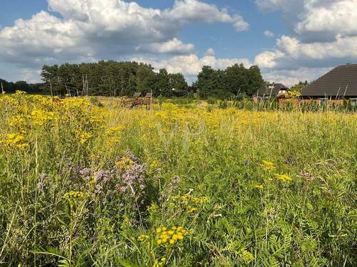 Grundstücksansicht - Grundstück in Soltendieck zum Kaufen
