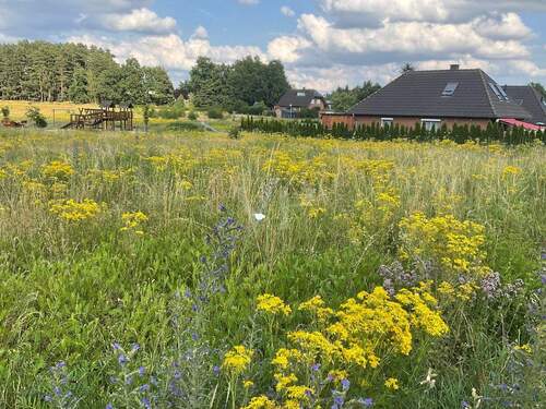 Grundstücksansicht - 