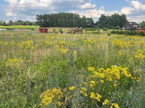 Grundstücksansicht - 