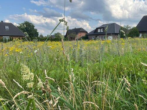 Grundstücksansicht - 