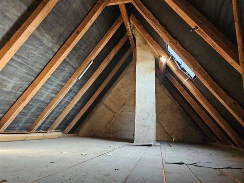 Dachspitz - 