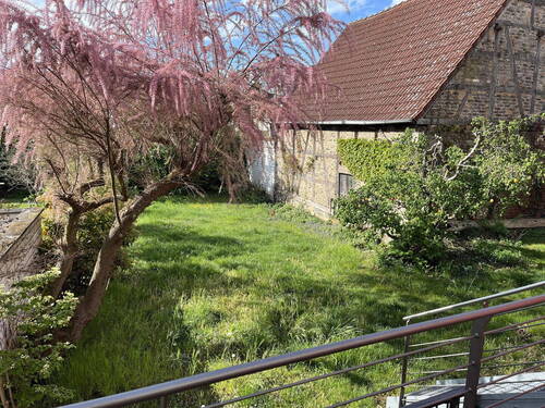 Garten (ohne Fachwerkhaus) - 