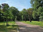 Leutewitzer Park im Sommer - 