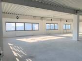 Fensterfront-Hindenburgstr(2) - 