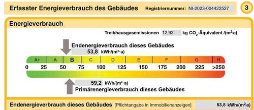 Ausschnitt Energieausweis - 