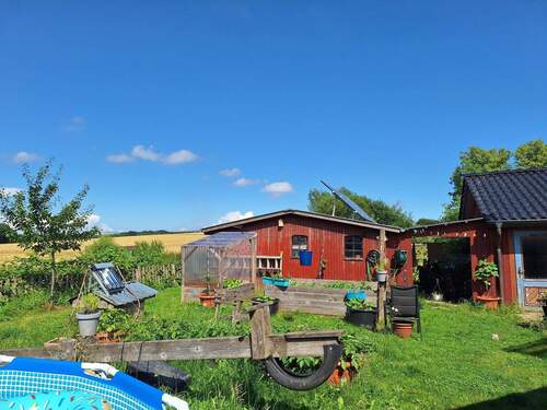 Rasenfläche mit Blick zum Schuppen - 