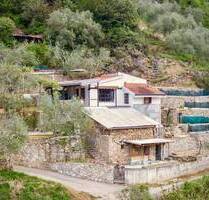 Rustikales Landhaus in Südwestlage mit Ausbaupotenzial – eingebettet in die Hügellandschaft von Apricale TI AP 1009