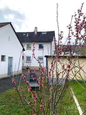 Blick vom Garten - 