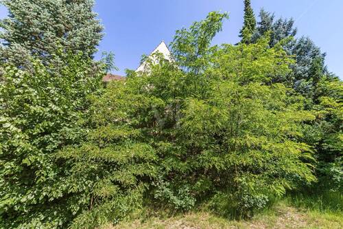 Garten - Einfamilienhaus mit 152,70 m² in Berlin zum Kaufen