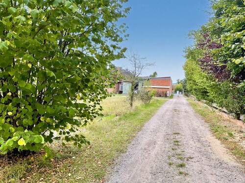 Bild 3 - Grundstück in Suhlendorf / Wellendorf