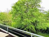Ausblick.jpg - 