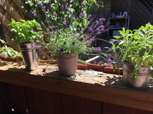 Veranda Terrasse - 