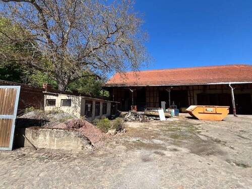 004020156800_302_342_28082025212712185 - 