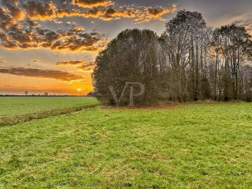 Grundstücksansicht - 